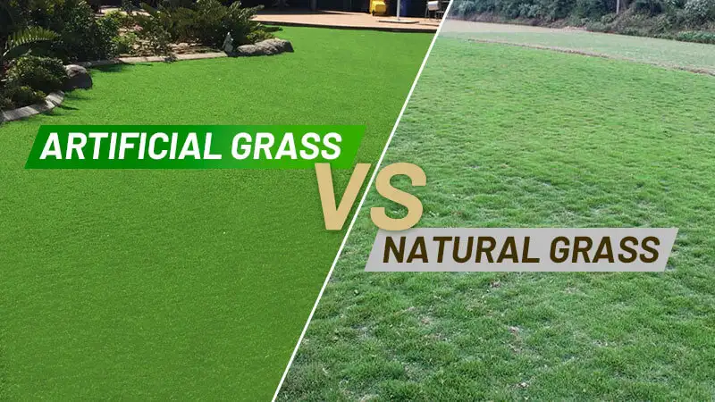 artificial-grass-vs.-natural-grass.jpg (1)